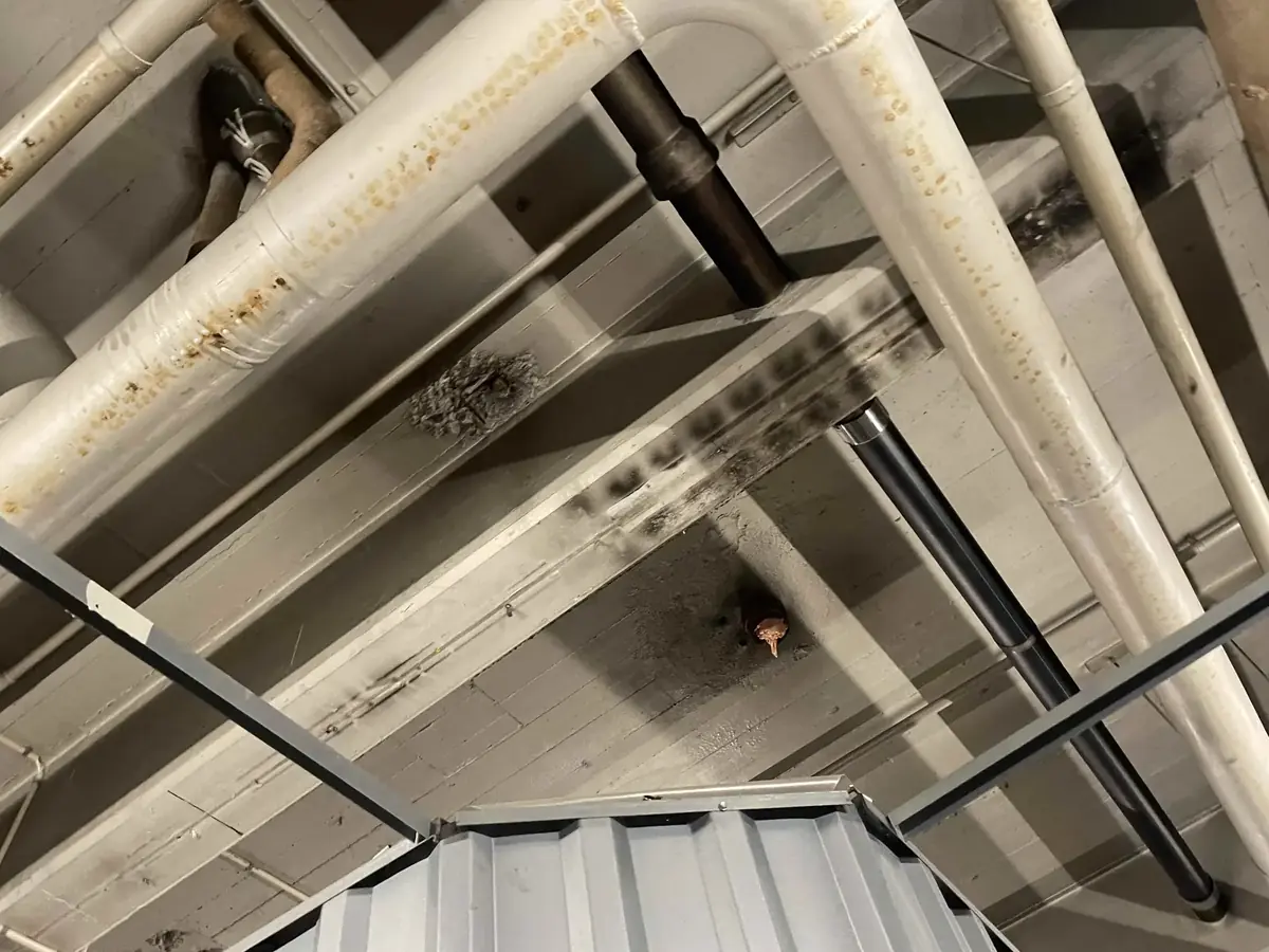 Installationer under loft gennemgået for spor efter tidligere tilslutninger