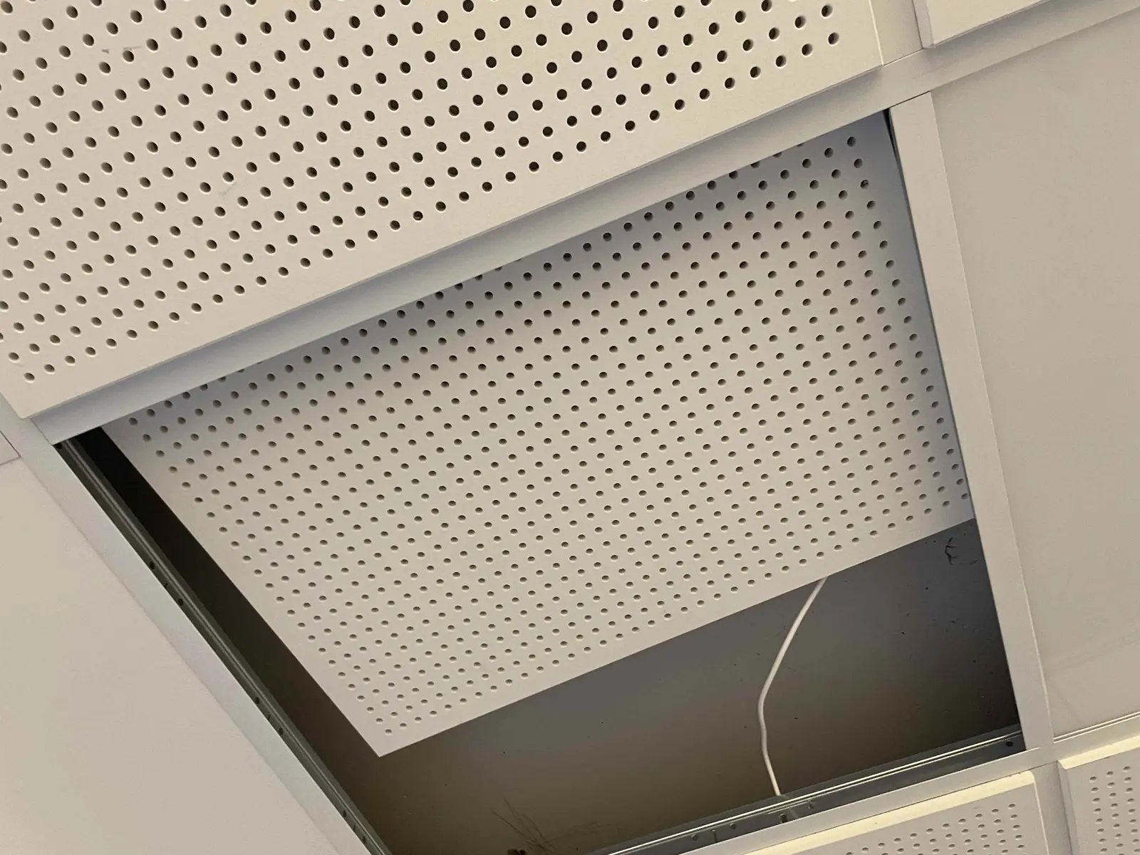 Opened ceiling area documented before specialist follow-up