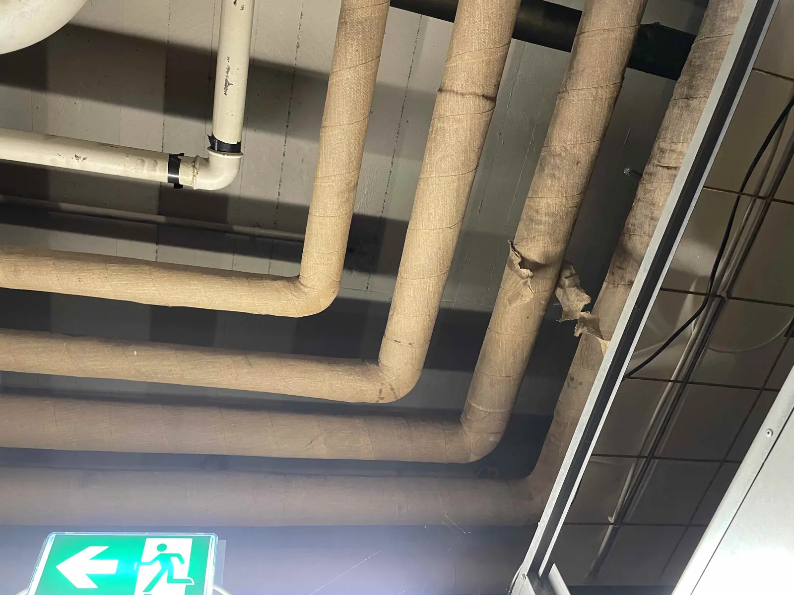 Damaged pipe insulation identified for specialist assessment