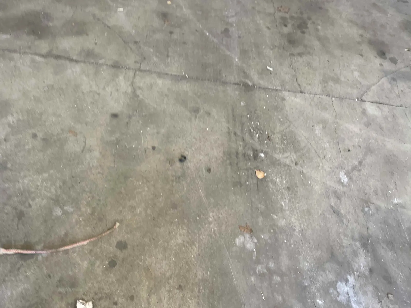 Concrete floor and visible joints