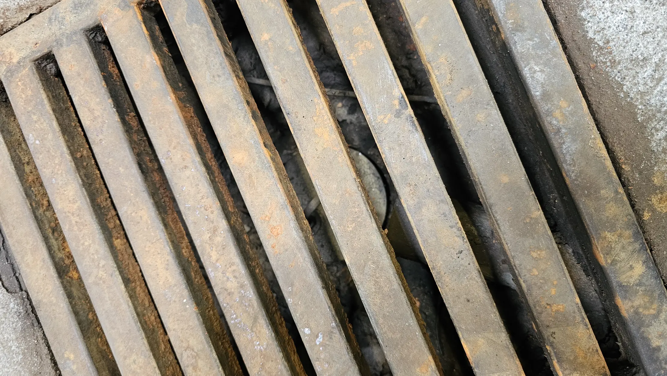 Drainage channel inspected as a potential migration pathway