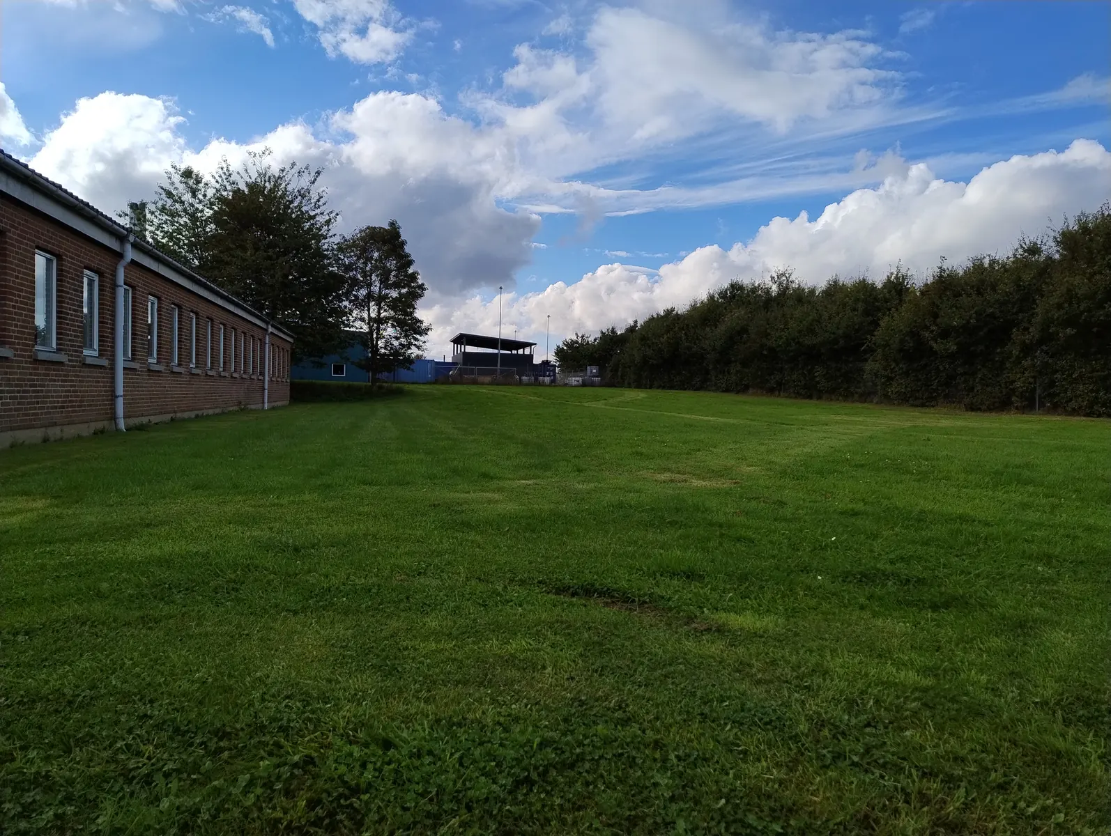 Grassed site boundary beside an industrial building